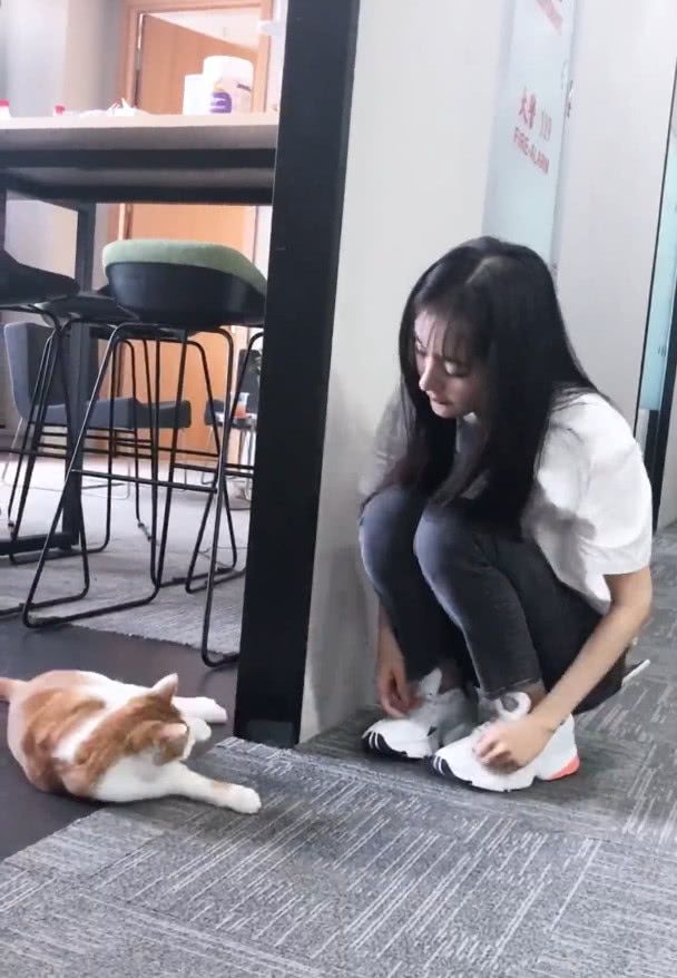 楊冪下面照片曝光_楊冪和貓照片曝光_楊冪女兒小糯米照片曝光
