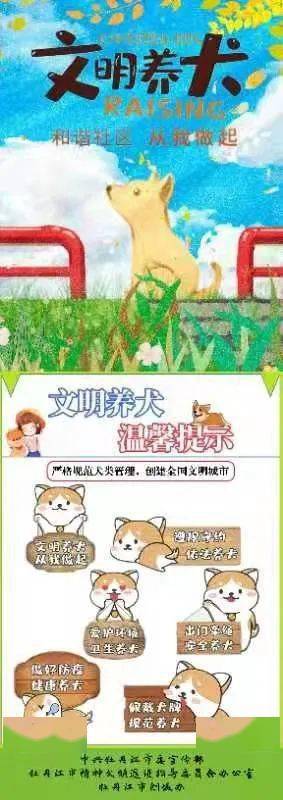 養(yǎng)一只狗好還是養(yǎng)兩只狗好_城市養(yǎng)狗管理規(guī)定_泰迪狗好養(yǎng)還是比熊好養(yǎng)