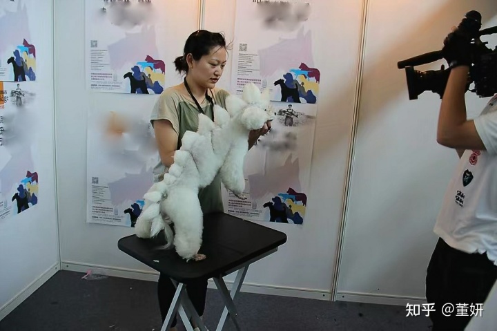 美容除皺針 除皺前后對比_狗狗美容前后對比照_前后照對比驚人圖片