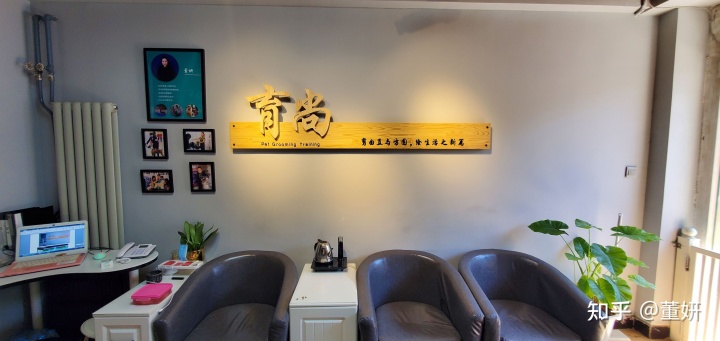 狗狗美容前后對比照_美容除皺針 除皺前后對比_前后照對比驚人圖片