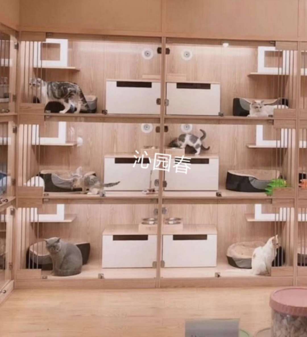 細(xì)狗品種大全及圖片_小鹿狗品種大全圖片_中國(guó)大型犬狗品種圖片大全