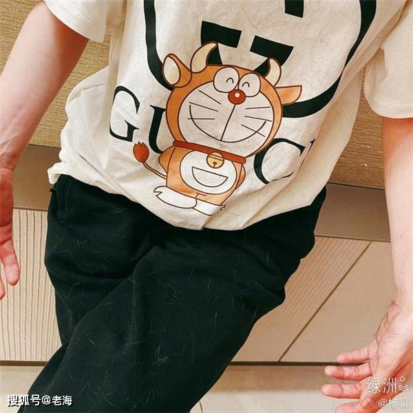 楊冪被曝光豎中指照片_楊冪和貓照片曝光_楊冪懷二胎照片曝光