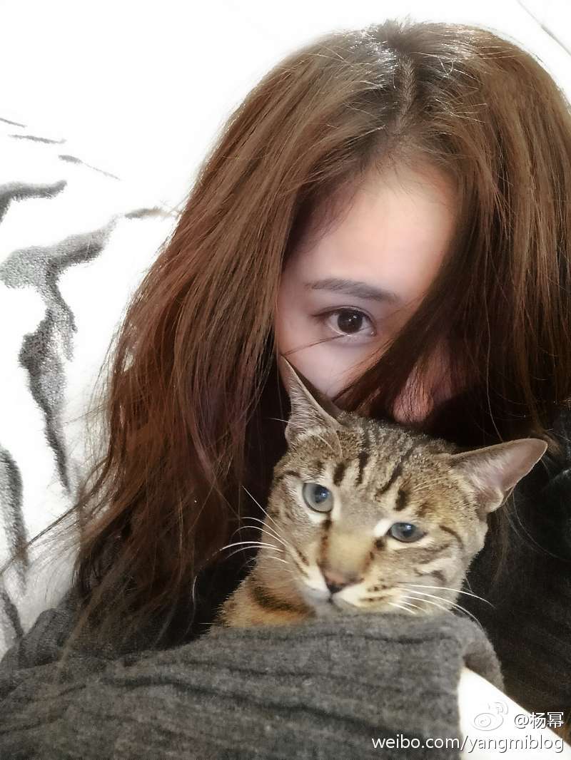 楊冪懷二胎照片曝光_楊冪被曝光豎中指照片_楊冪和貓照片曝光