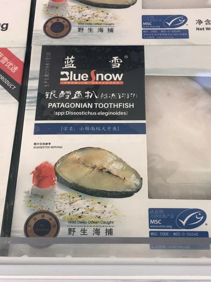 棘鱗蛇鯖與水鱈魚_吃了棘鱗蛇鯖怎么辦_棘鱗蛇鯖 鱈魚