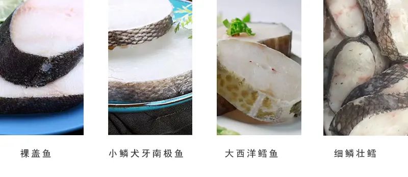 棘鱗蛇鯖怎么做_棘鱗蛇鯖圖片_棘鱗蛇鯖 鱈魚