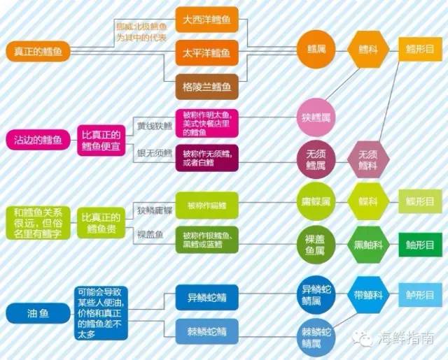 棘鱗蛇鯖 鱈魚_棘鱗蛇鯖圖片_異鱗蛇鯖營養(yǎng)價值