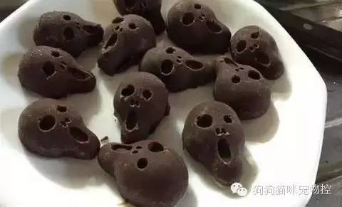 什么狗便宜可愛又好養(yǎng)_養(yǎng)圣伯納犬知識大全_養(yǎng)狗知識大全可愛的小仙寵
