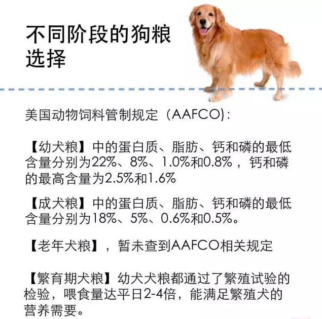 單身女養(yǎng)大型公犬_北京養(yǎng)狗規(guī)定大型犬_養(yǎng)昆明犬公犬好母犬好