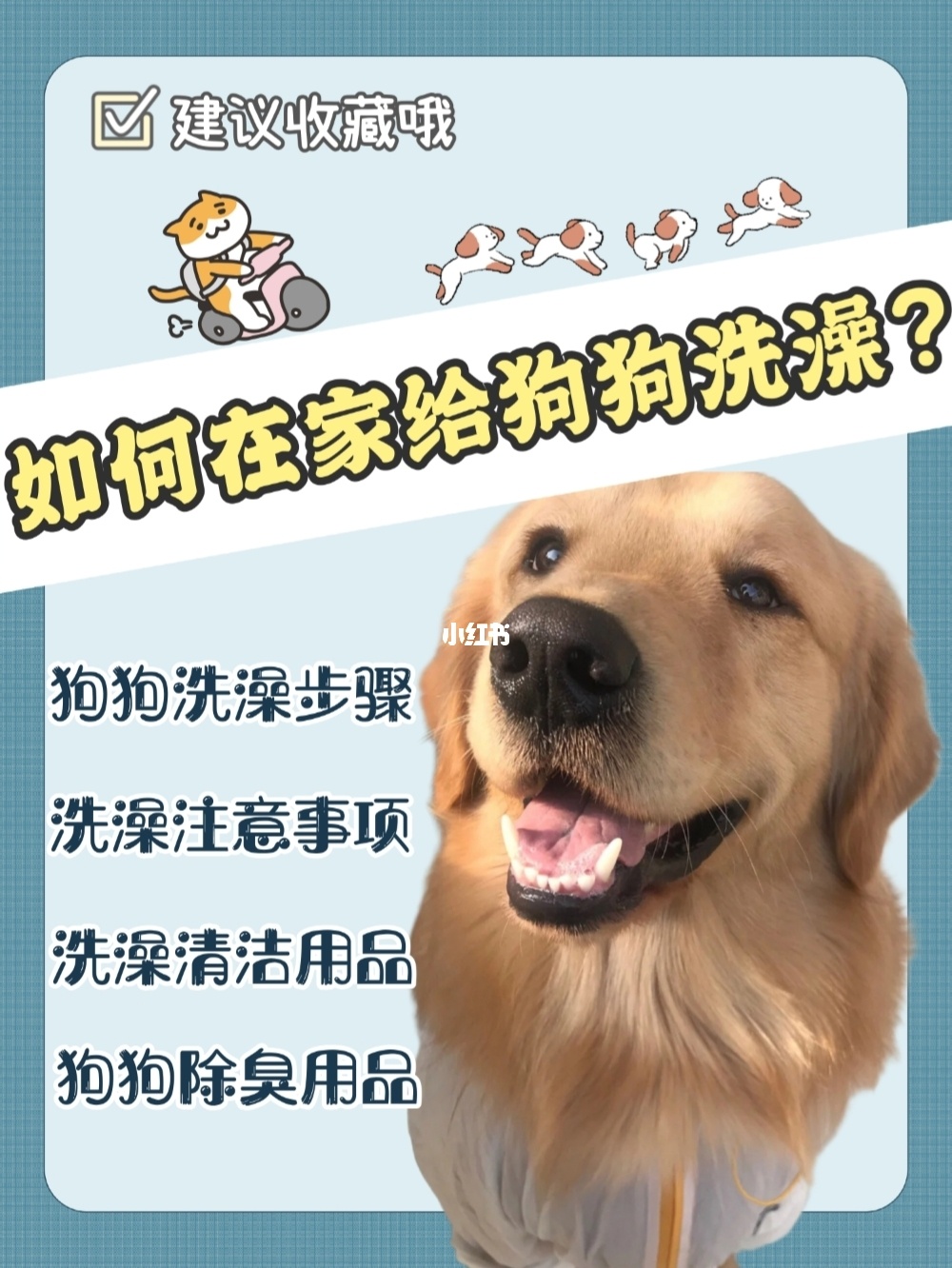 上門給狗狗洗澡的app_上門美容的app都有哪些_狗狗上門美容app