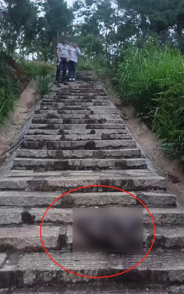 蛇最多出沒的地方_寧鄉(xiāng)巿區(qū)吃蛇地方_廣東富婆出沒地方