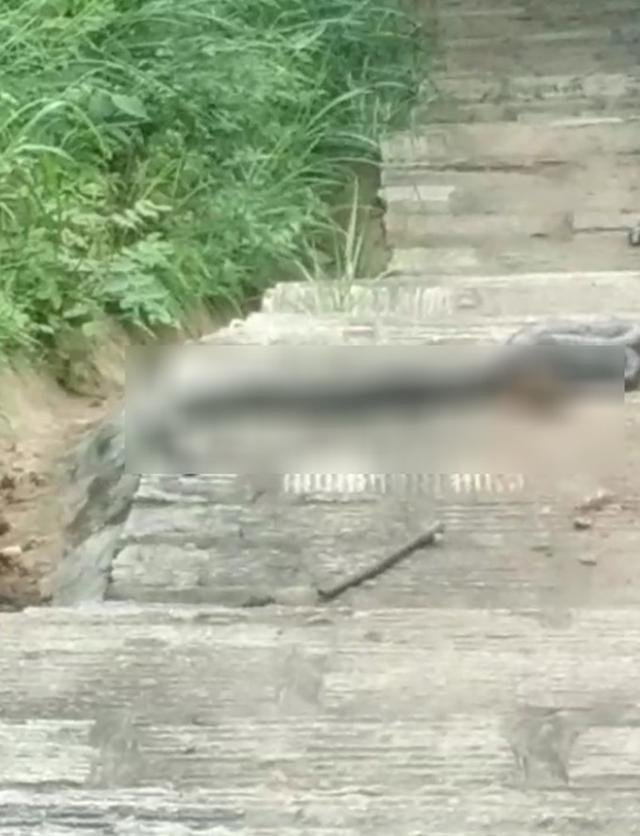 廣東富婆出沒地方_蛇最多出沒的地方_寧鄉(xiāng)巿區(qū)吃蛇地方
