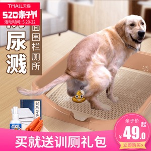 訓(xùn)練狗狗在外面大小便_怎么訓(xùn)狗狗外面大小便_狗狗訓(xùn)練狗狗