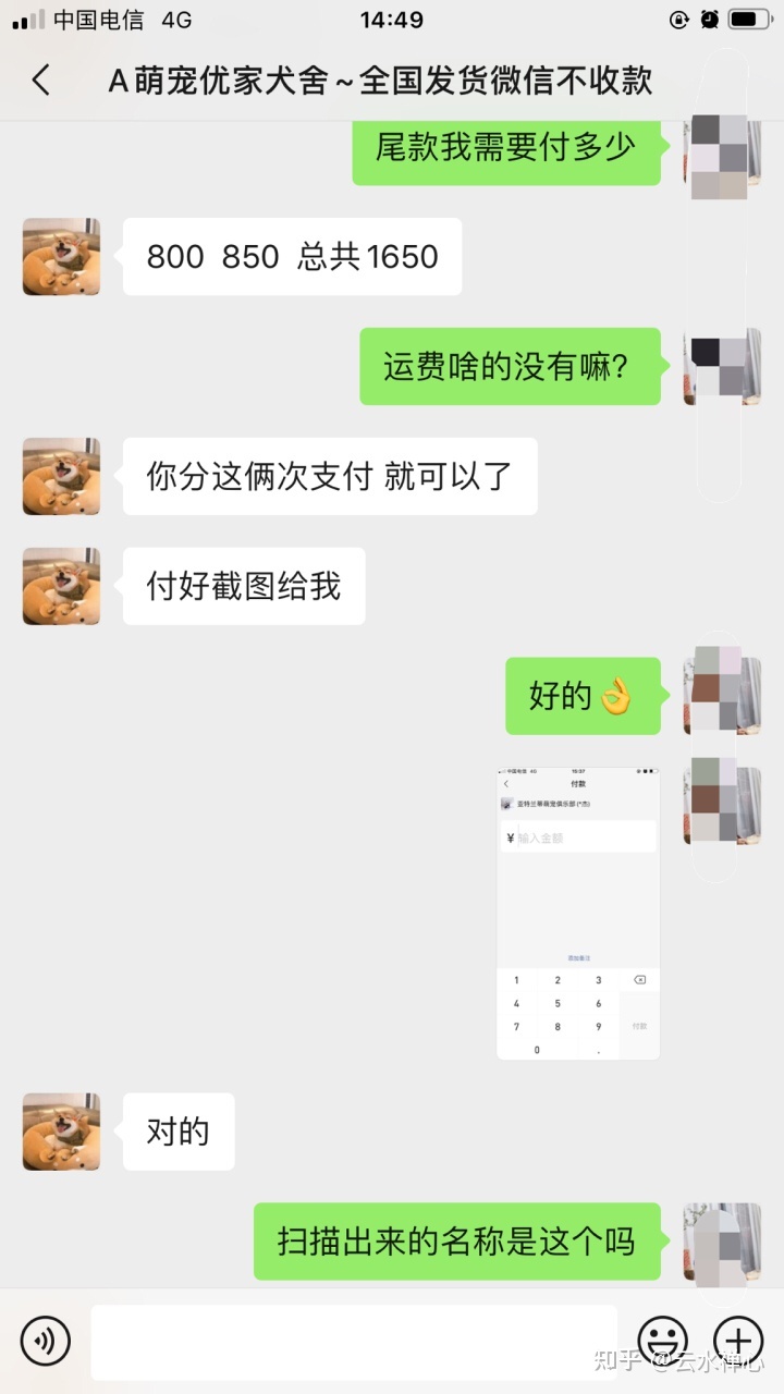 狗可以吃接狗七厘片嗎_上海哪里可以買iwaya電動狗_哪里可以買狗