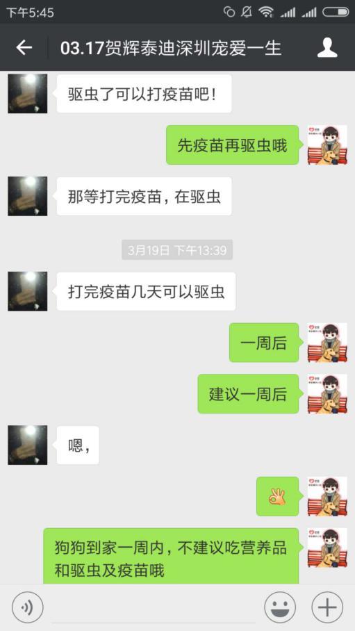 在寵物店買到病狗怎么維權(quán)_病狗_四十條狗有一條病狗