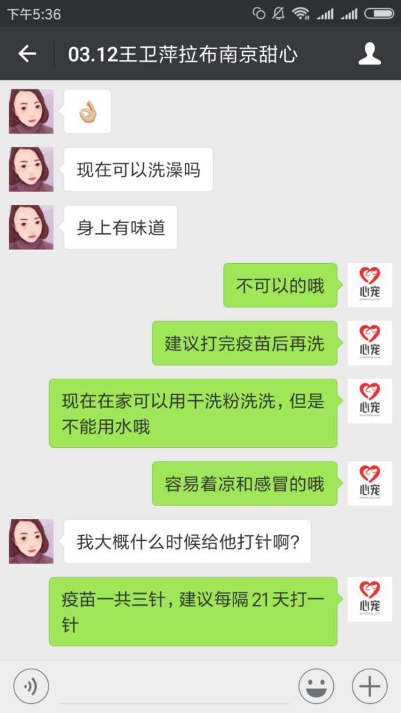 在寵物店買到病狗怎么維權(quán)_四十條狗有一條病狗_病狗