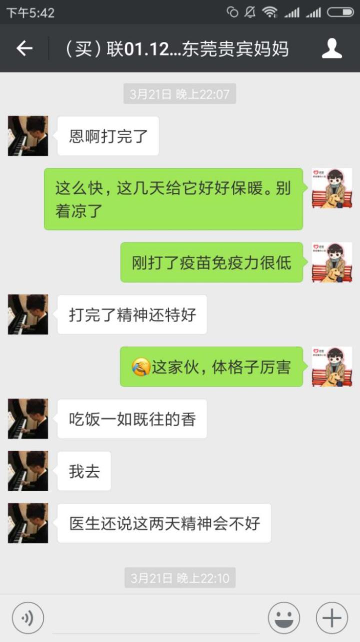 在寵物店買到病狗怎么維權(quán)_病狗_四十條狗有一條病狗