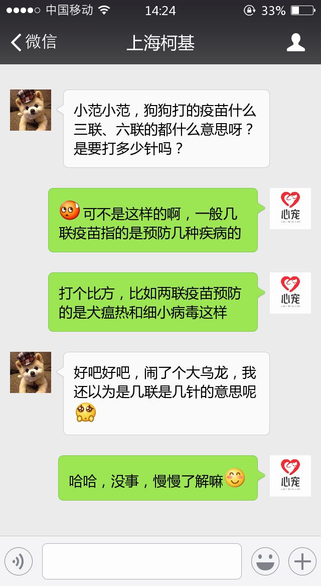 四十條狗有一條病狗_在寵物店買到病狗怎么維權(quán)_病狗