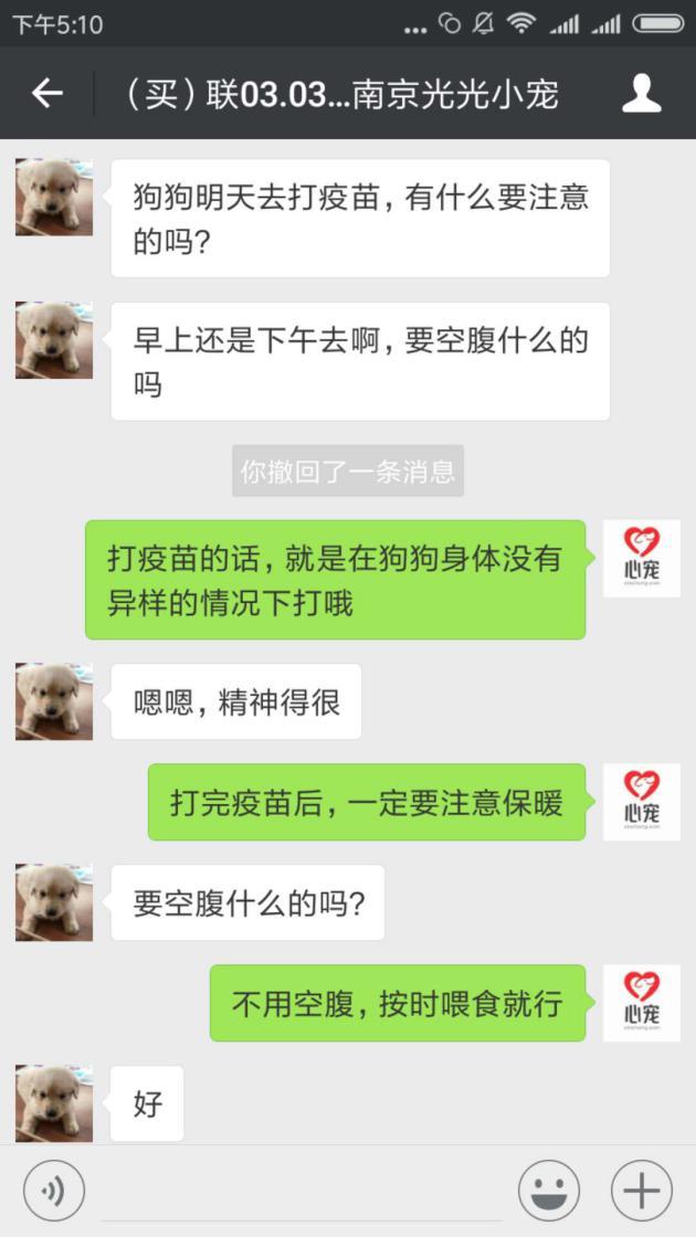 四十條狗有一條病狗_病狗_在寵物店買到病狗怎么維權(quán)