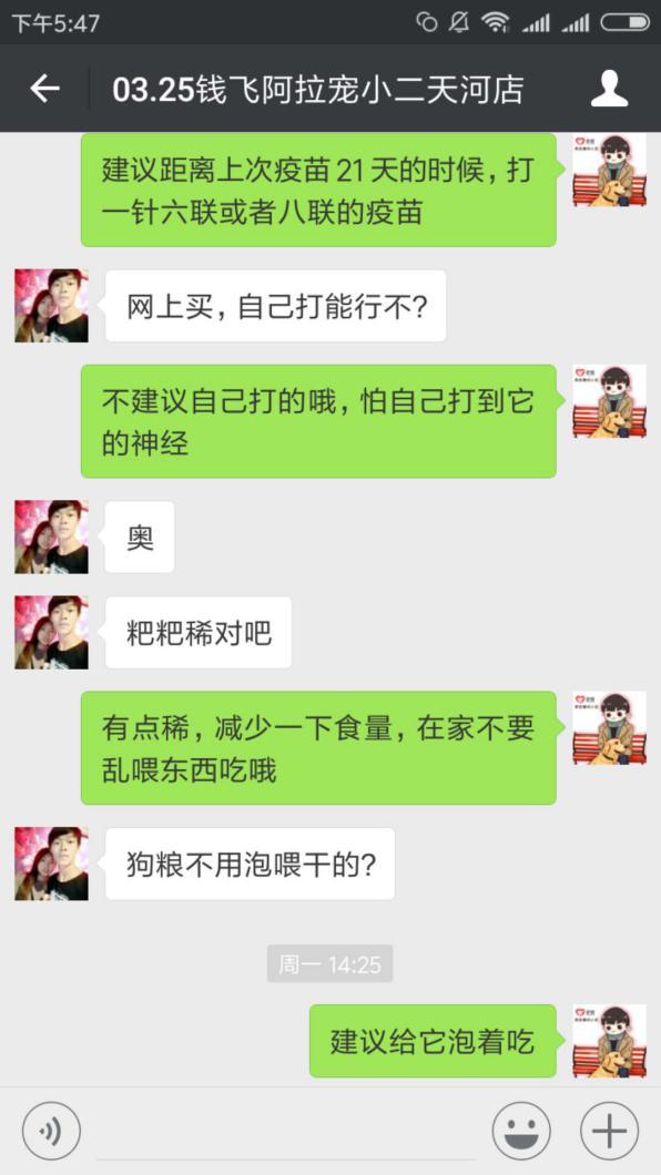 四十條狗有一條病狗_在寵物店買到病狗怎么維權(quán)_病狗