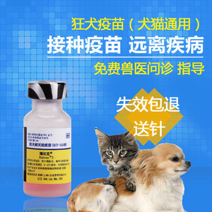 養(yǎng)博美犬好還是養(yǎng)泰迪狗好_養(yǎng)狗怎么樣_泰迪狗好養(yǎng)還是比熊好養(yǎng)