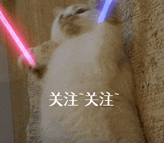 中考訓(xùn)練繩_狗狗訓(xùn)練繩_警繩訓(xùn)練