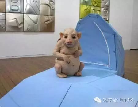 四川狗人雜交過程_狗和人雜交_四川狗人雜交過程圖