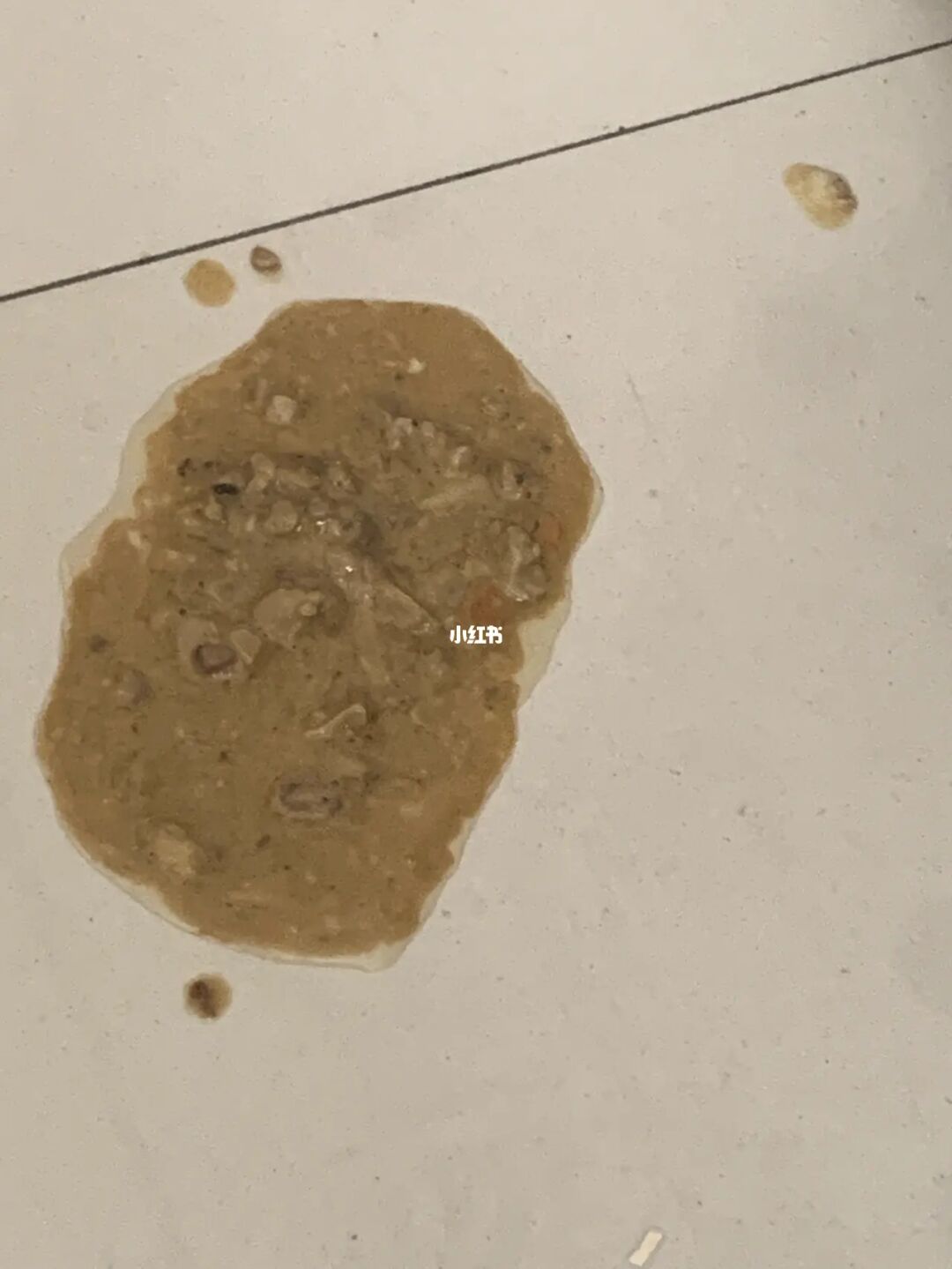 狗 病_病狗_四十條狗有一條病狗