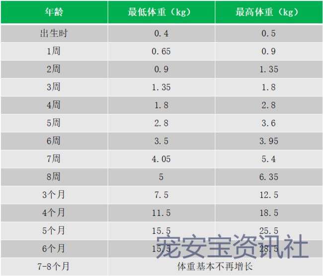 品種大的狗_細狗品種有哪些品種_細狗品種有哪些品種圖片
