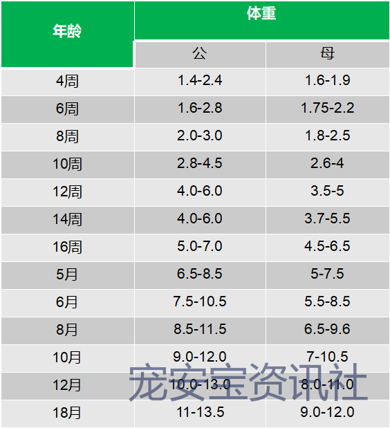 品種大的狗_細狗品種有哪些品種圖片_細狗品種有哪些品種
