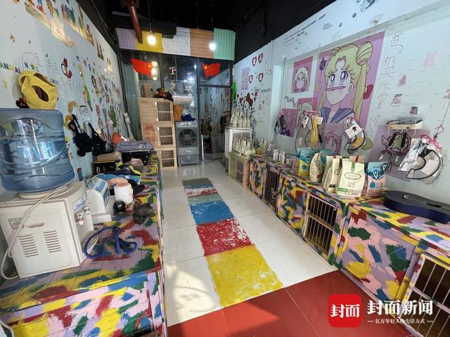上海寵物店寄養(yǎng)價(jià)格_青海海西格爾木寵物店寄養(yǎng)服務(wù)_寵物店寄養(yǎng)狗多少錢(qián)