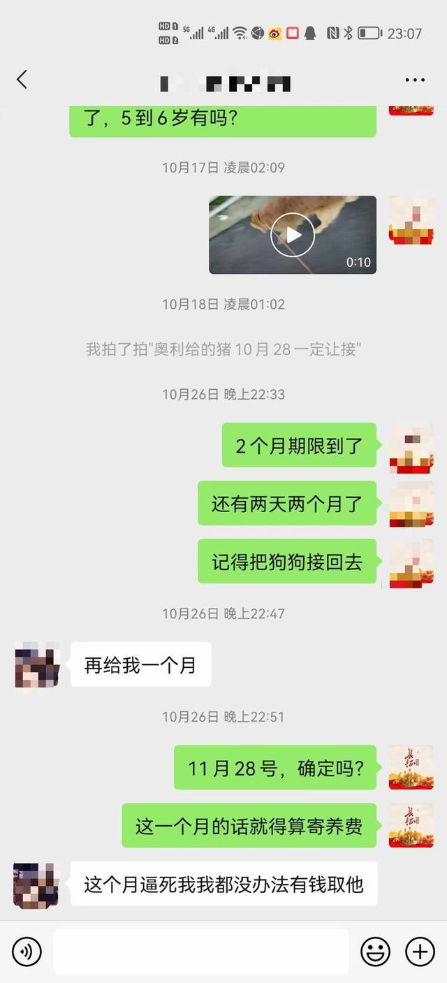 上海寵物店寄養(yǎng)價(jià)格_青海海西格爾木寵物店寄養(yǎng)服務(wù)_寵物店寄養(yǎng)狗多少錢(qián)