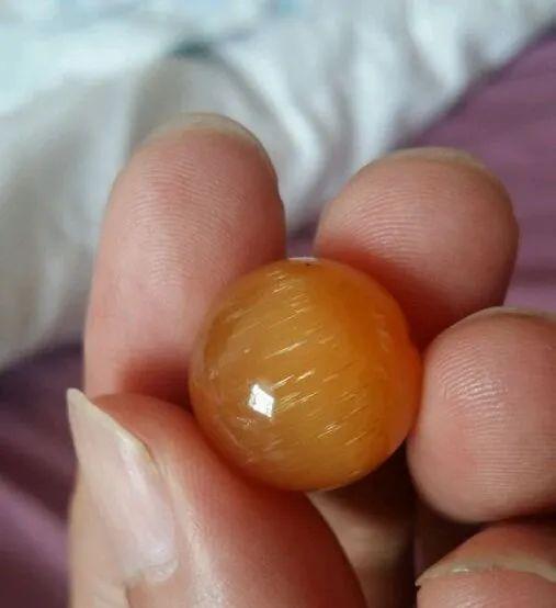 烏龜?shù)臍は袷裁確草烏龜不曬太陽(yáng)爛殼_烏龜需要經(jīng)常刷殼嗎