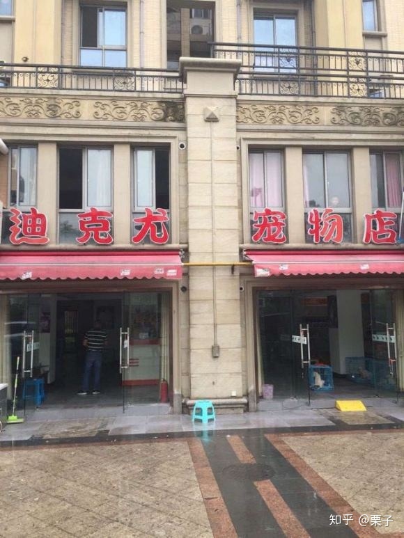 蘿莉控by喵喵貓喵喵_黑心貓喵喵_黑心貓喵喵