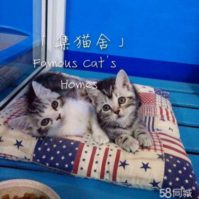 黑心貓喵喵_蘿莉控by喵喵貓喵喵_黑心貓喵喵