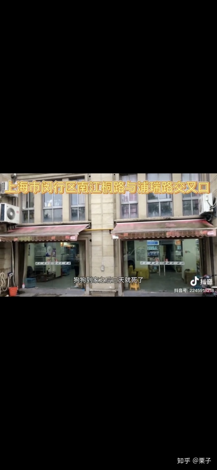 黑心貓喵喵_黑心貓喵喵_蘿莉控by喵喵貓喵喵