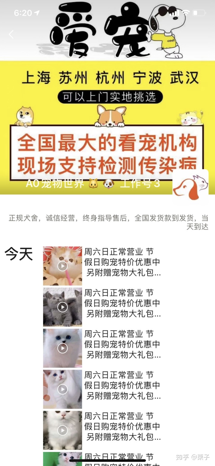 黑心貓喵喵_黑心貓喵喵_蘿莉控by喵喵貓喵喵