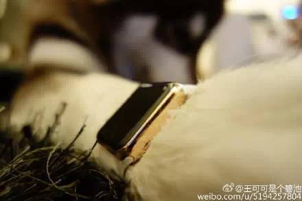 王思聰日狗照片_王思聰日狗_王思聰?shù)墓肥巧镀贩N