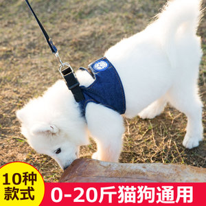 上班養(yǎng)串串狗好不好養(yǎng)_上海養(yǎng)狗條例_上海和養(yǎng)寶華養(yǎng)護(hù)院