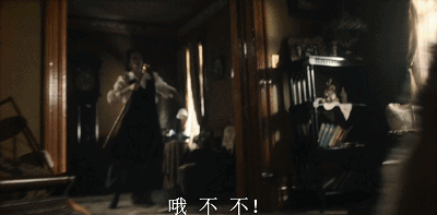 南極大冒險(xiǎn)八只狗品種_大耳朵狗立狗品種大全_細(xì)狗品種有哪些品種圖片
