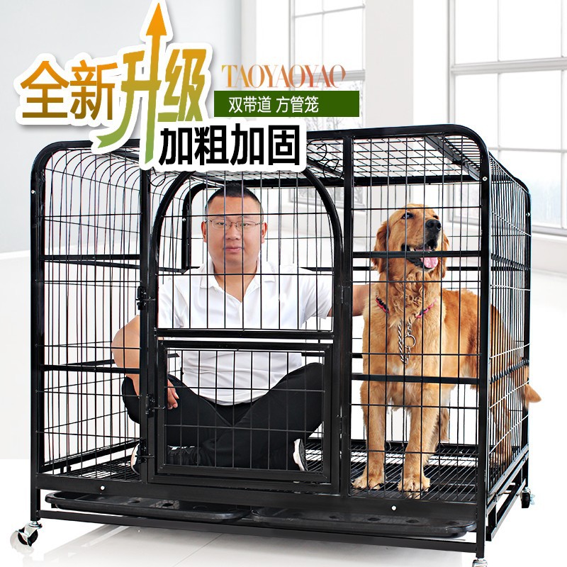 寵物店賣病狗怎么投訴_在寵物店買到病狗怎么維權(quán)_寵物店買病狗