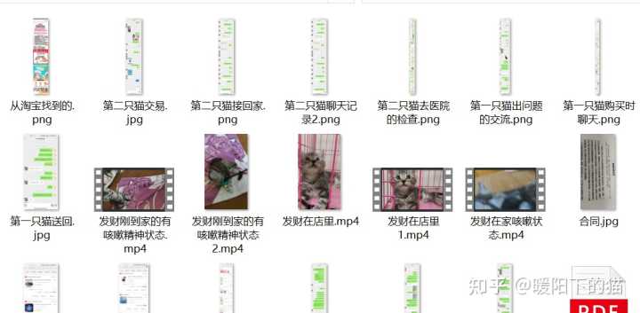 在寵物店買到病狗怎么維權(quán)_在寵物店買到病狗怎么維權(quán)_成都寵物店病狗
