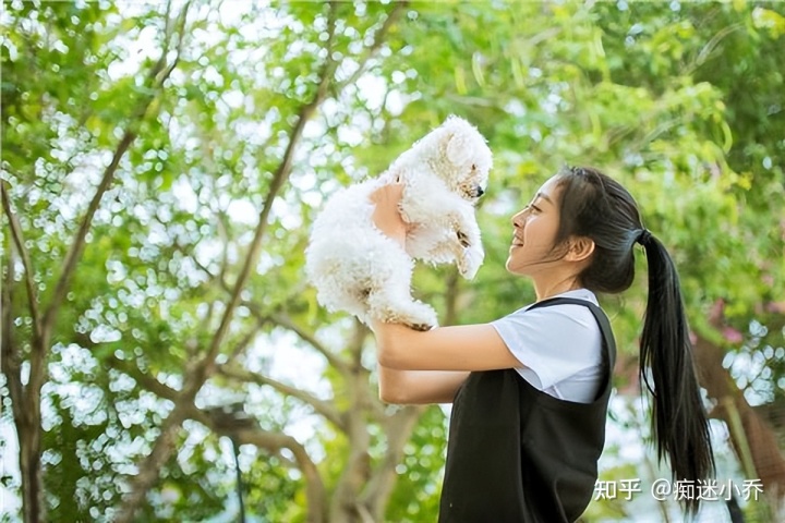 純種狗和雜交狗配_吉娃娃雜交狗_純種狗和雜交狗哪個(gè)貴