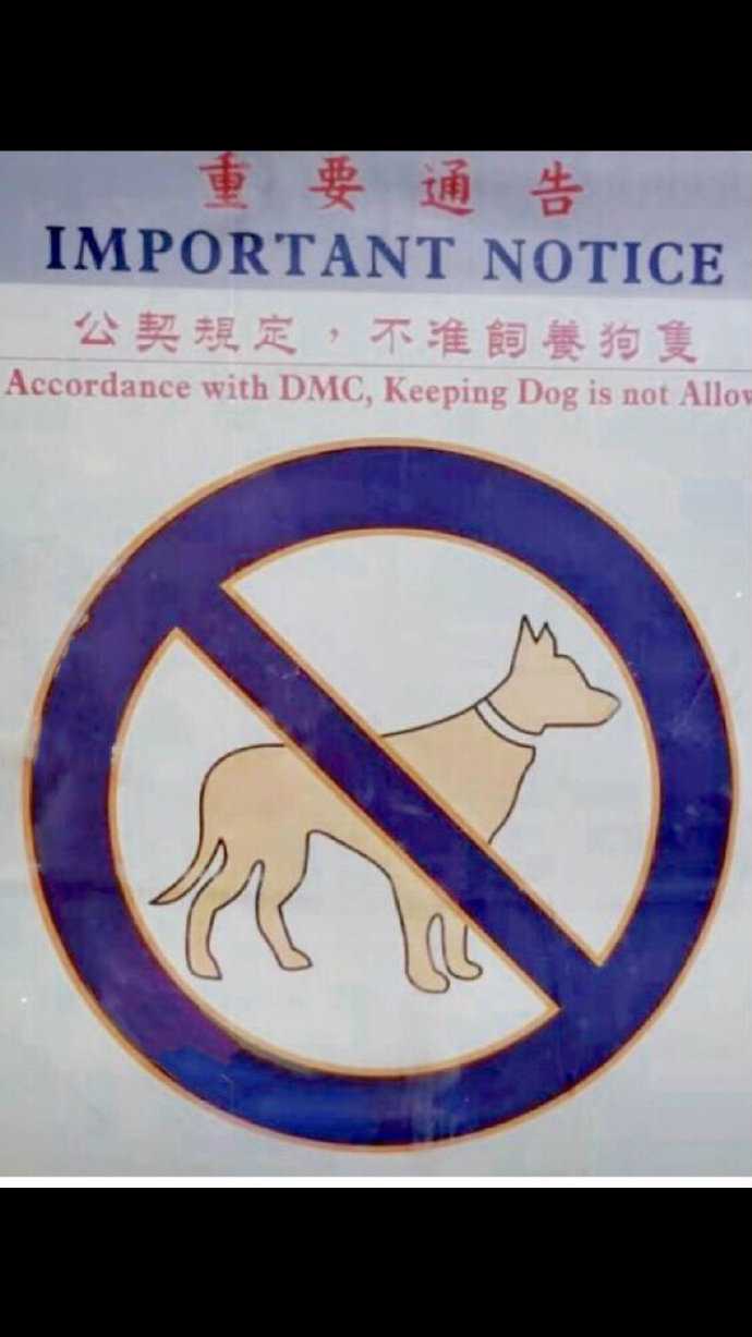 小區(qū)不讓養(yǎng)狗_泰迪狗茶杯狗好養(yǎng)嗎_養(yǎng)哪幾種狗好養(yǎng)能賺錢