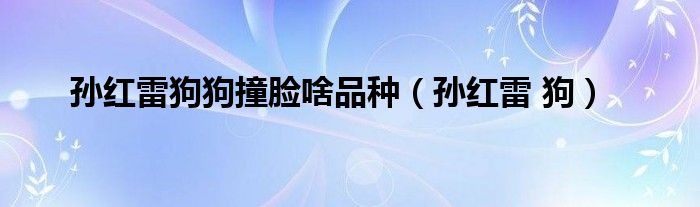 像孫紅雷的狗_像孫紅雷的狗品種_跟孫紅雷很像的狗品種