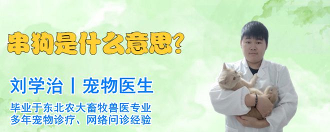 串串狗好養(yǎng)嗎_串串狗什么品種好_串串品種狗圖片大全