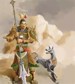古代威風無比的中國細犬，現(xiàn)在為什么快絕種了？