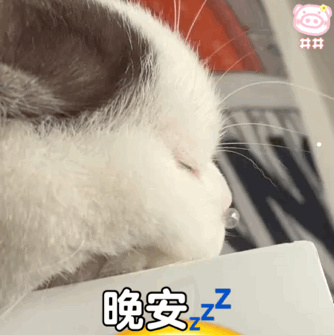 罕見寵物狗大全及圖片