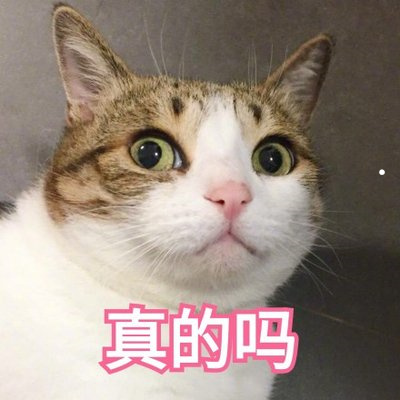 罕見寵物狗大全及圖片