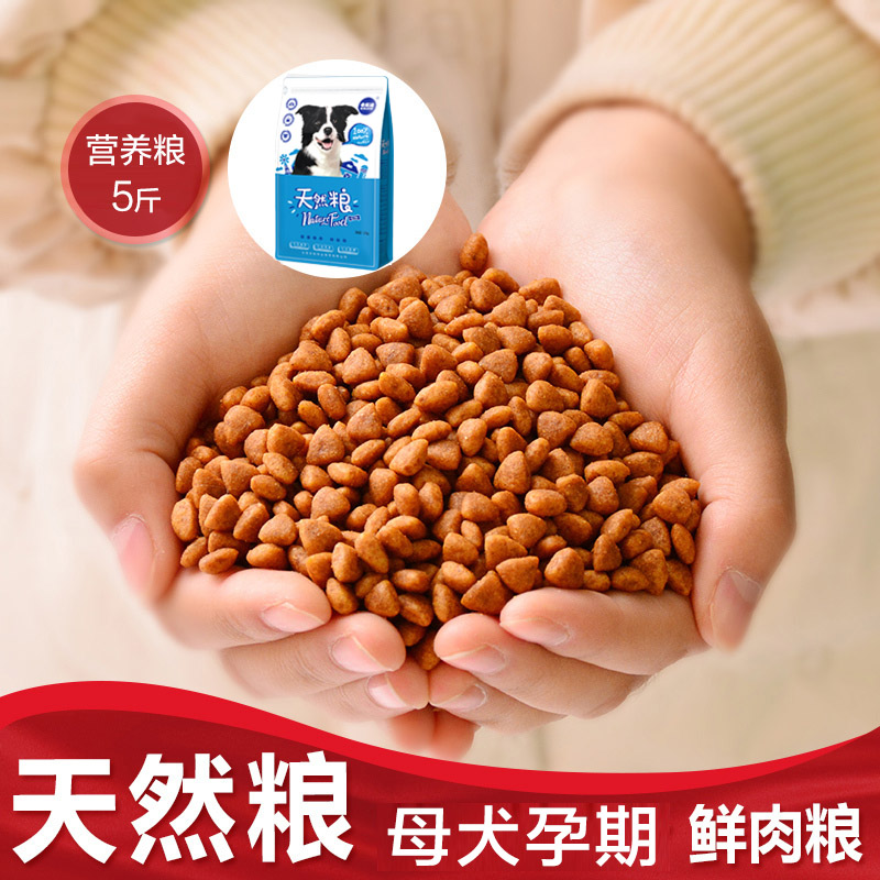 女孩子為什么不能養(yǎng)狗_孩子養(yǎng)什么狗合適_后媽把孩子當狗養(yǎng)后續(xù)