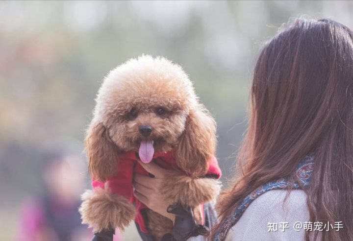 女孩子為什么不能養(yǎng)狗_后媽把孩子當狗養(yǎng)后續(xù)_孩子養(yǎng)什么狗合適